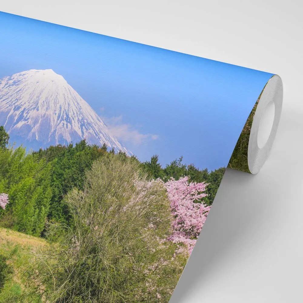 Carta da parati – Vulcano Fuji