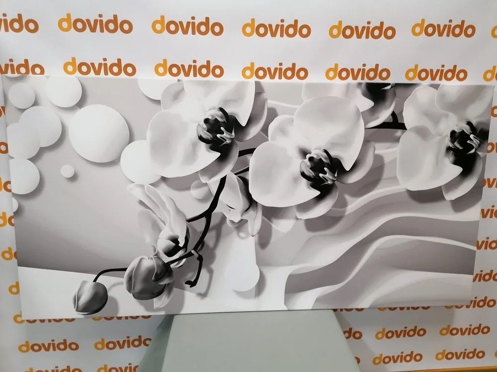 Stampa su tela – Orchidea in bianco e nero su sfondo astratto