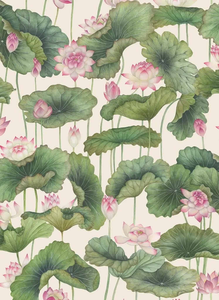 Cole & Son Carta da parati Lily Lotus - Original