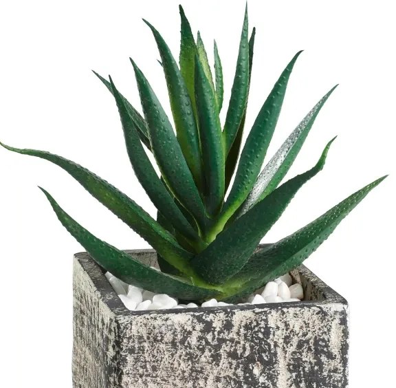 Eglo 428008 - Pianta artificiale CHITOSE 13x9,5 cm in vaso, succulenta