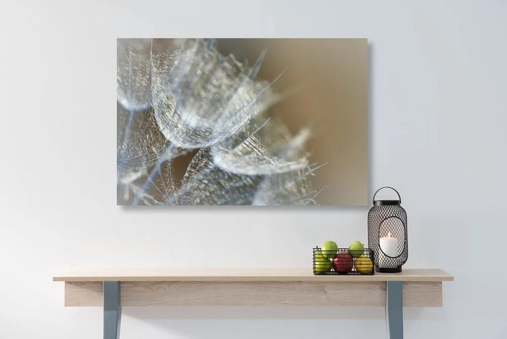 Quadro su tela – Macro soffione su sfondo