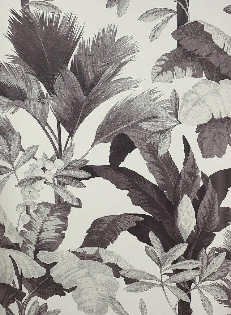 Manuel Canovas Carta da parati Salengro - Fusain