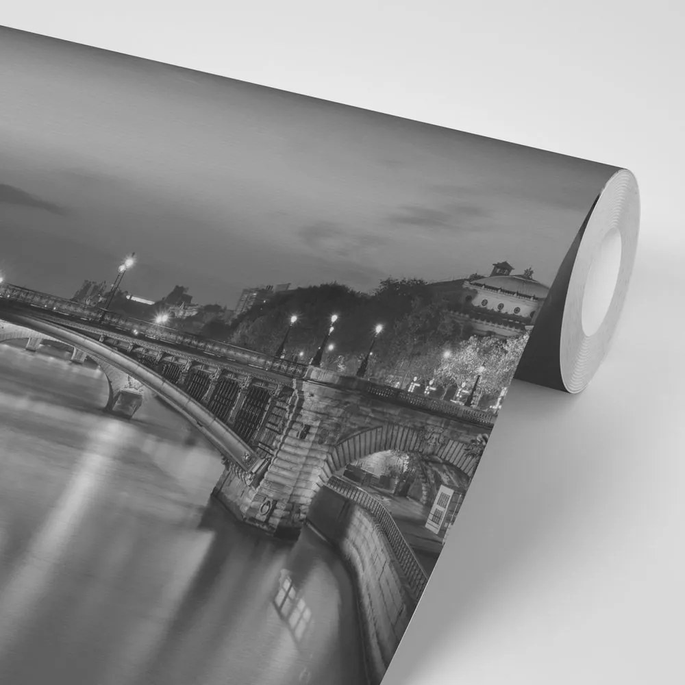 Carta da parati autoadesiva – Panorama in bianco e nero di Parigi abbagliante