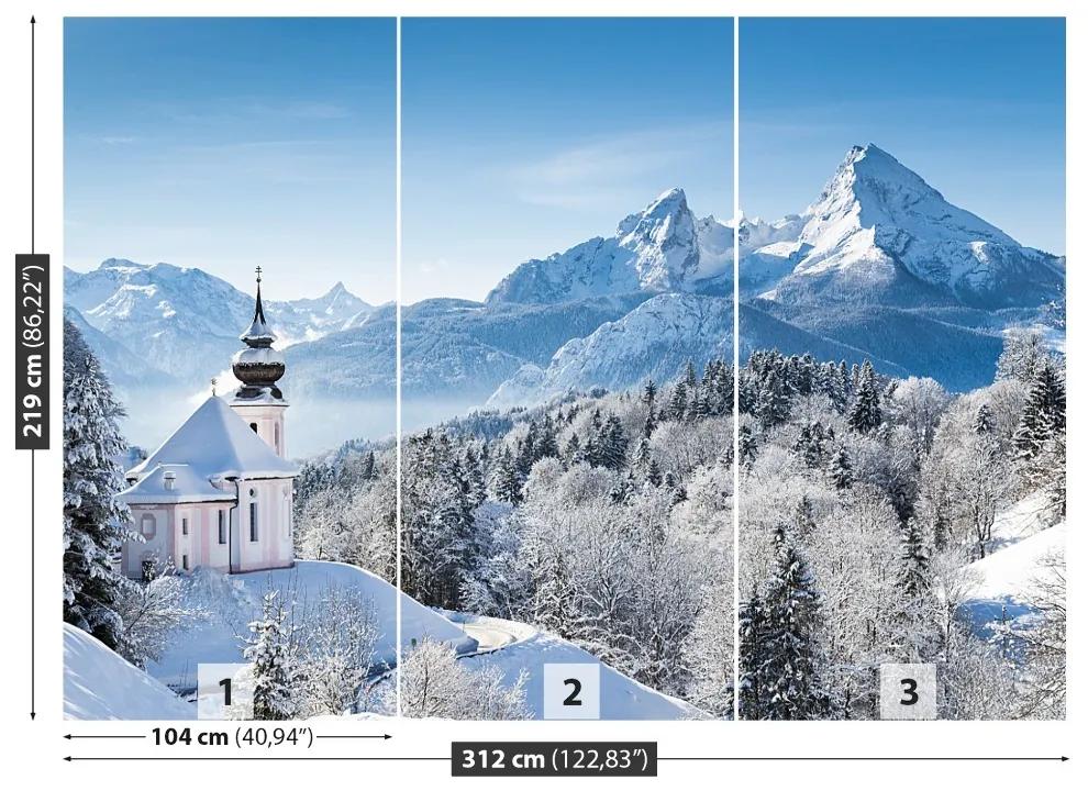 Carta da parati Alpi invernali 104x70 cm