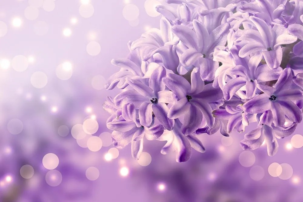 Quadro su tela – Fiore di lillà viola