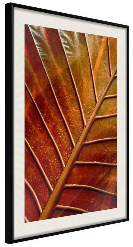 Poster  Bronze Leaf  Cornice Quadri Cornice nera con pass-partout, Larghezza x Altezza Home decor 20x30