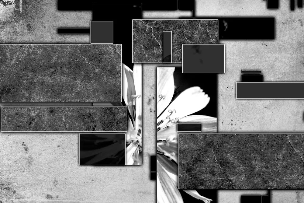 Stampa su tela – Astrazione in bianco e nero