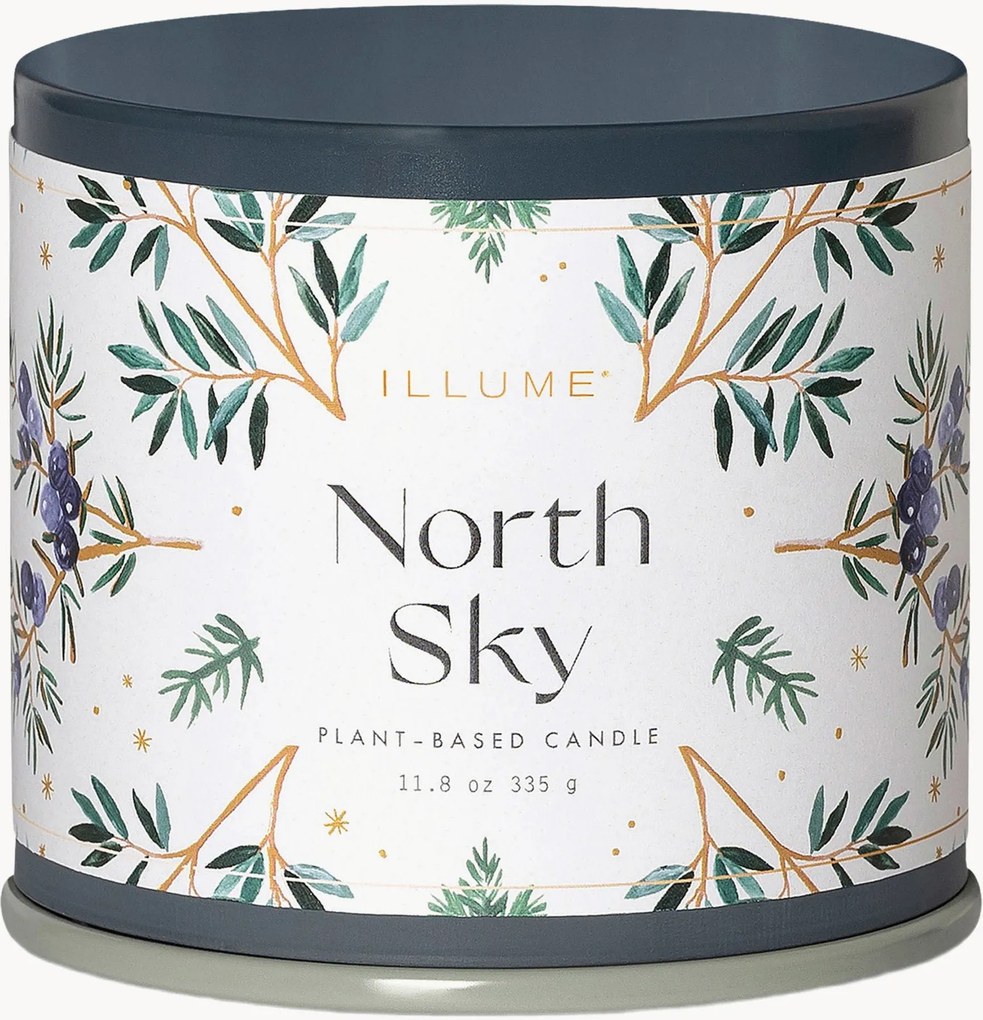 Candela profumata North Sky (agrumi, ribes, legno di ebano)