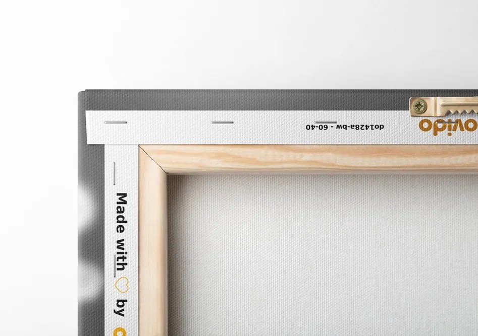 Stampa su tela – Fiori estivi in bianco e nero