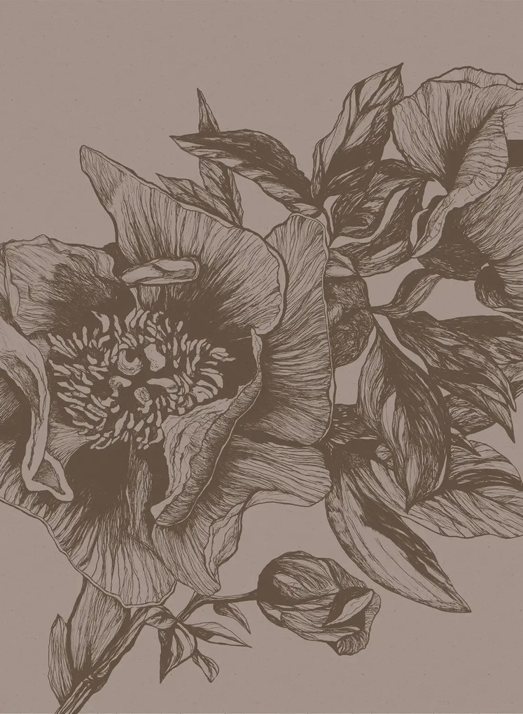 Coordonne Carta da parati panoramica Giant Peonies - Cacao