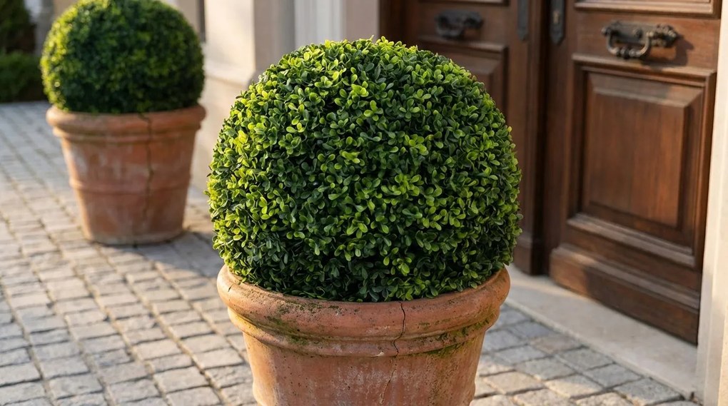 Sfera di bosso artificiale