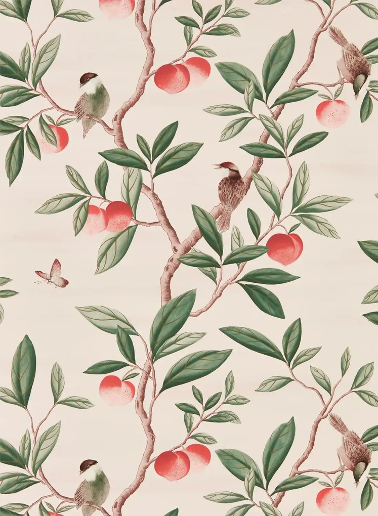 Harlequin Carta da parati Ella - Powder/ Sage/ Peach