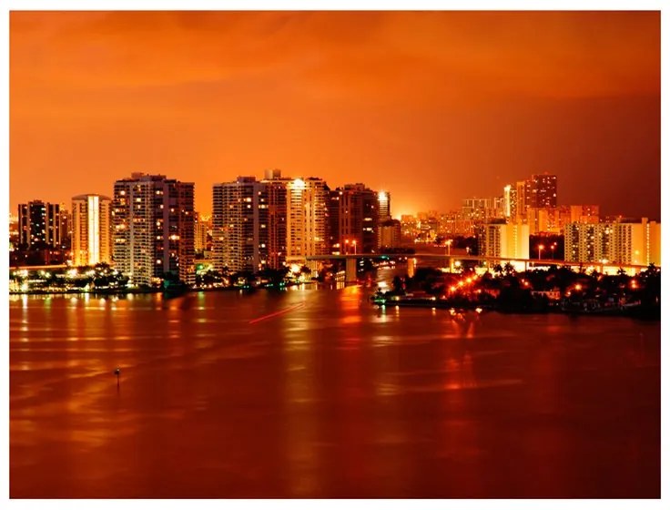 Fotomurale  Welcome to Miami  Colore Nero, Dimensioni e Misure 350x270