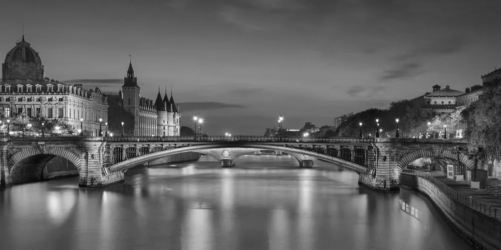 Quadro su tela – Panorama abbagliante di Parigi in bianco e nero