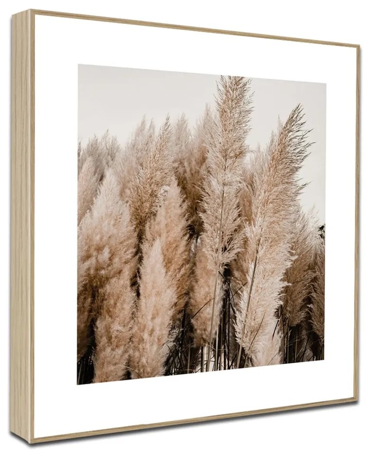 Quadri in set di 4 pezzi 30x30 cm Aesthetic - knor