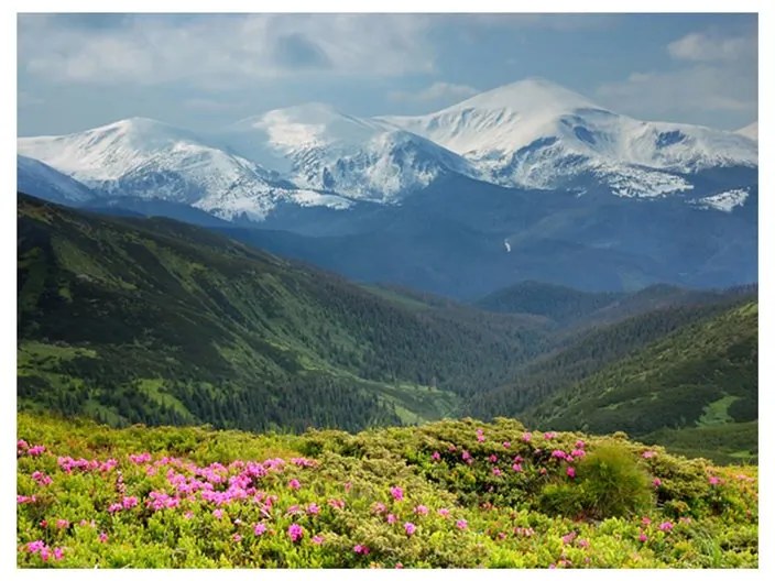 Fotomurale  Paesaggio di montagna in primavera  Colore Verde, Dimensioni e Misure 250x193