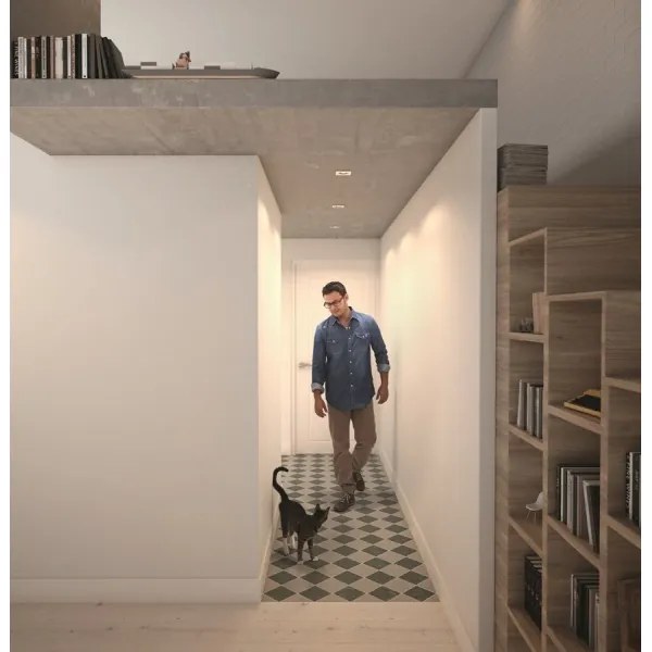 Philips 50393/11/P0 - KIT 3xLED Lampada dimmerabile SHELLBARK LED/4,5W/230V