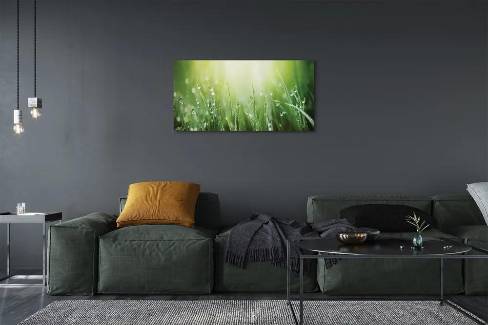 Foto quadro su tela Cade il sole dell'erba 100x50 cm