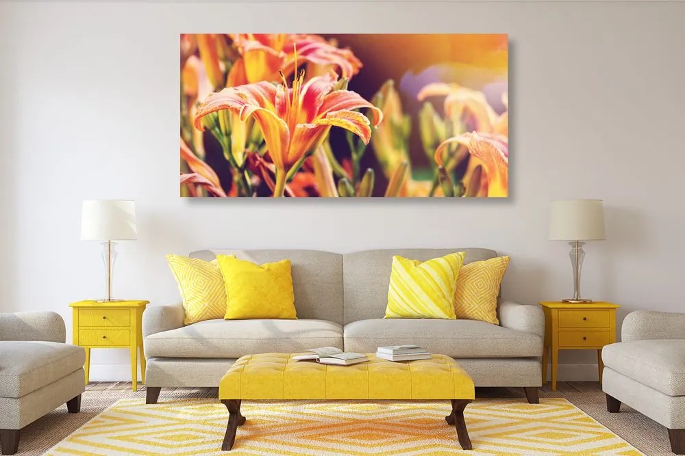 Stampa su tela – Splendidi fiori da giardino