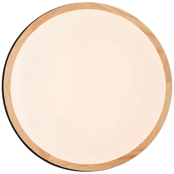 Brilliant - Plafoniera LED dimmerabile BAARLO LED/24W/230V diametro 35 cm nero