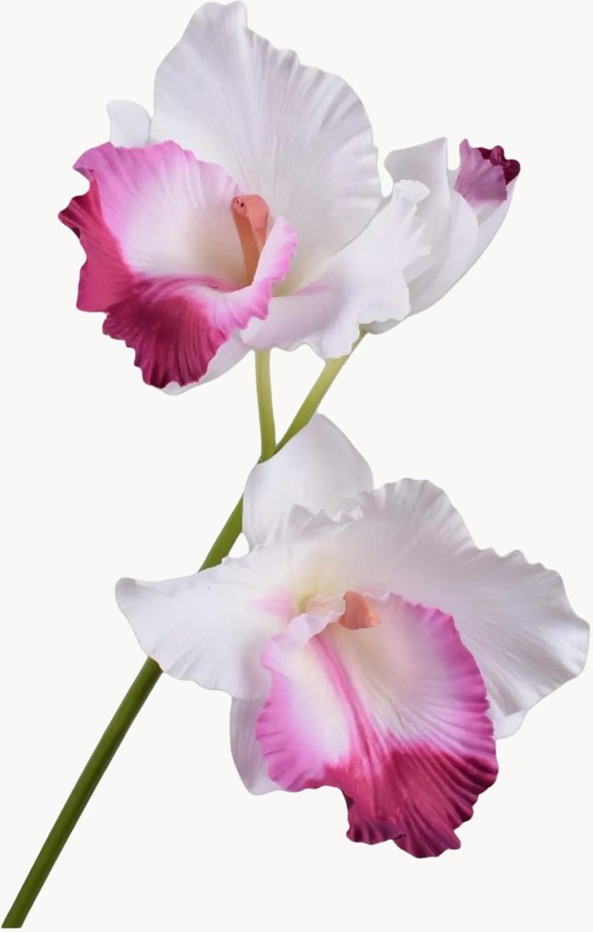 Set di 2 fiori artificiali Cattleya