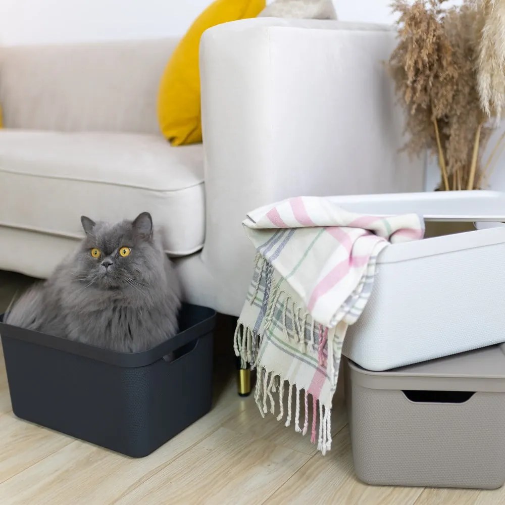 Scatola di plastica con coperchio Deco - Rotho