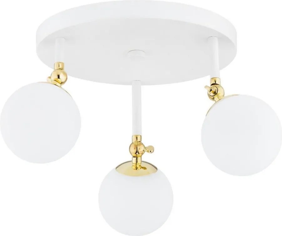 Argon 1434 - Plafoniera da bagno LATINA 3xE14/7W/230V IP44 bianco/oro