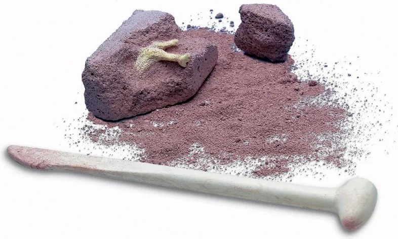 Scavo archeologico - Dinosauro luminoso