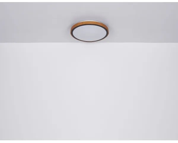 Globo 41765-12 - Plafoniera LED SAMMI LED/12W/230V 3000/4500/6000K