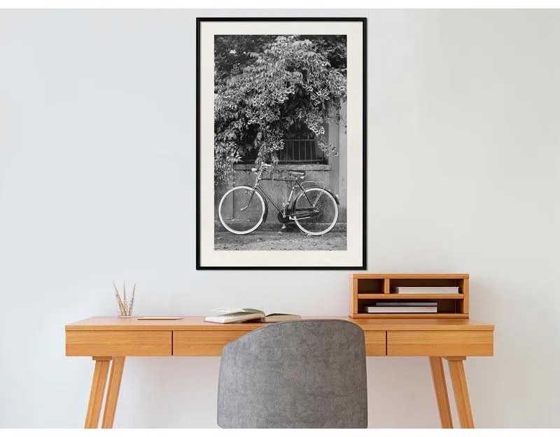 Poster Bicycle with White Tires