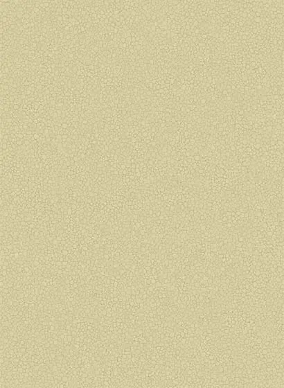 Cole & Son Carta da parati Pebble - Latte