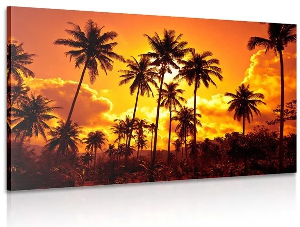 Quadro su tela – Palme di cocco sulla spiaggia
