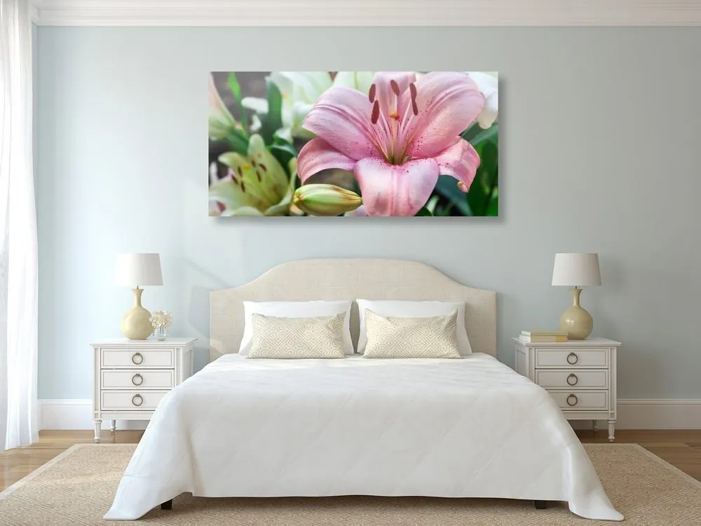 Quadro su tela – Giglio rosa in fiore