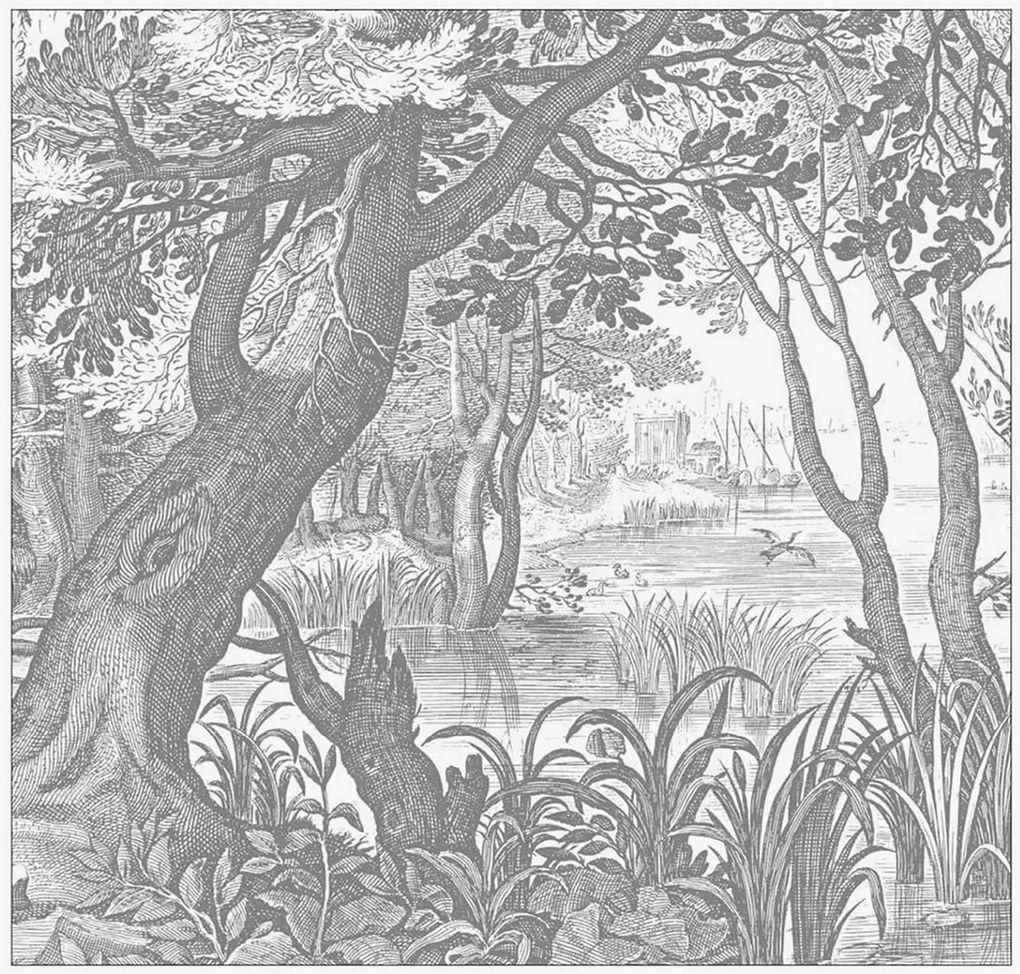 Carta da parati in tessuto non tessuto Engraved Landscapes