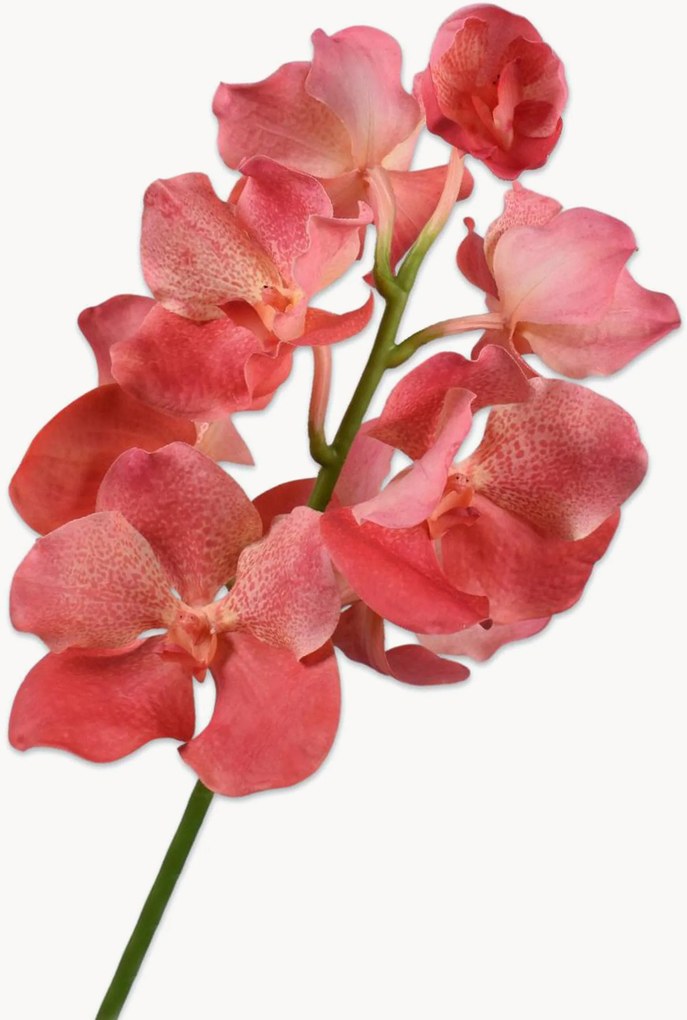 Fiori artificiali fatti a mano Vanda, set da 2
