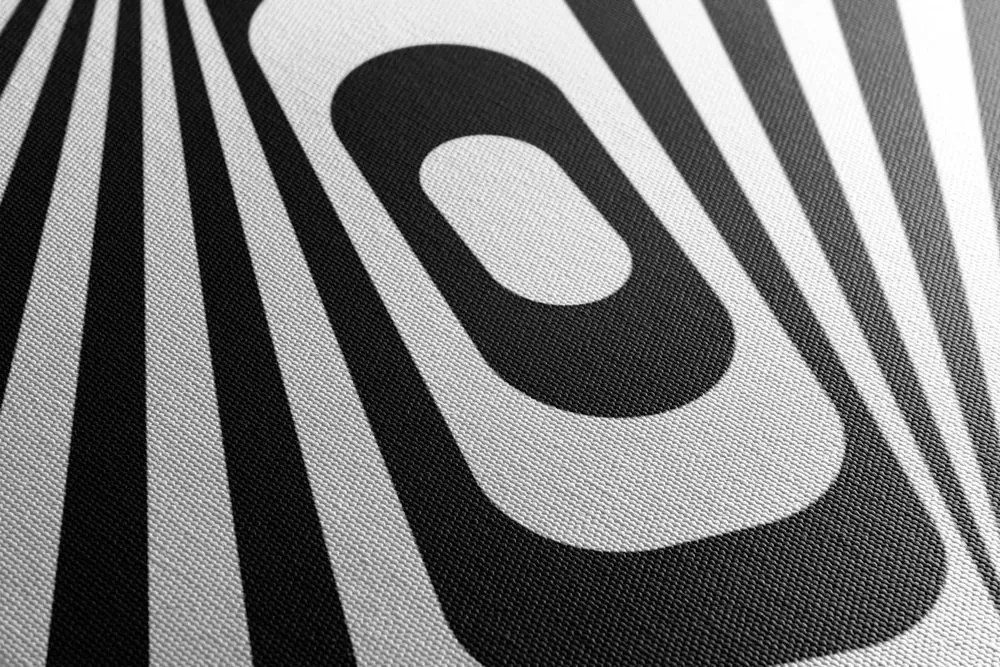 Stampa su tela – Illusione in bianco e nero