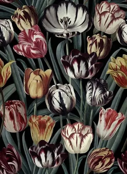 Mindthegap Carta da parati Tulipa - WP20177
