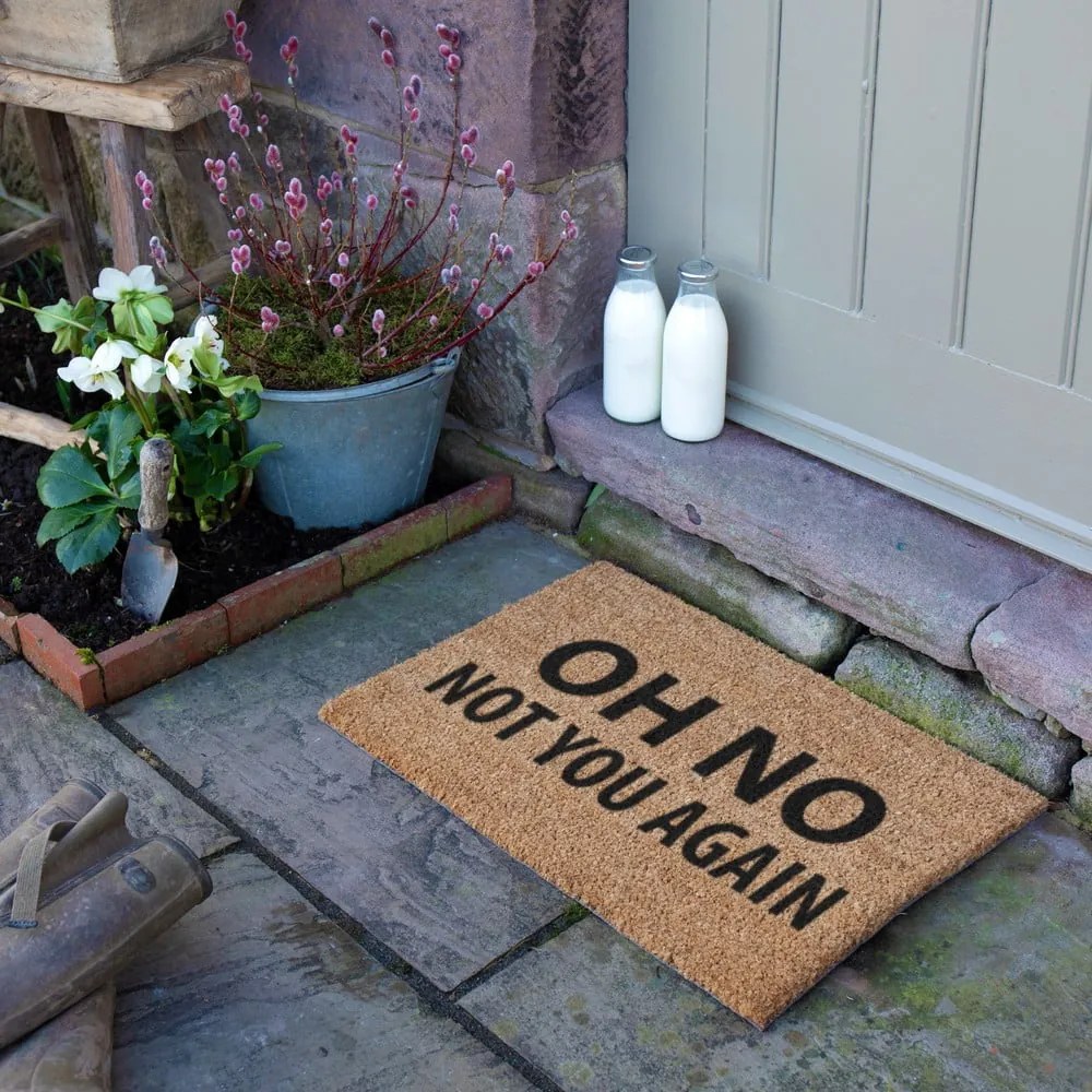 Zerbino in cocco 40x60 cm Not You Again - Artsy Doormats