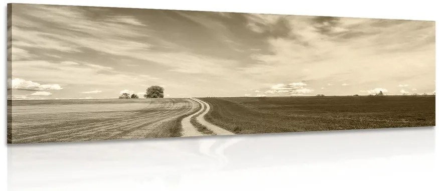 Stampa su tela – Paesaggio incantevole in seppia