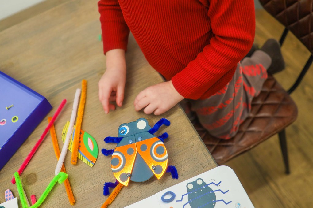 Gioco creativo - Coleotteri