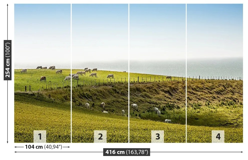 Carta da parati Mucche nel pascolo 104x70 cm