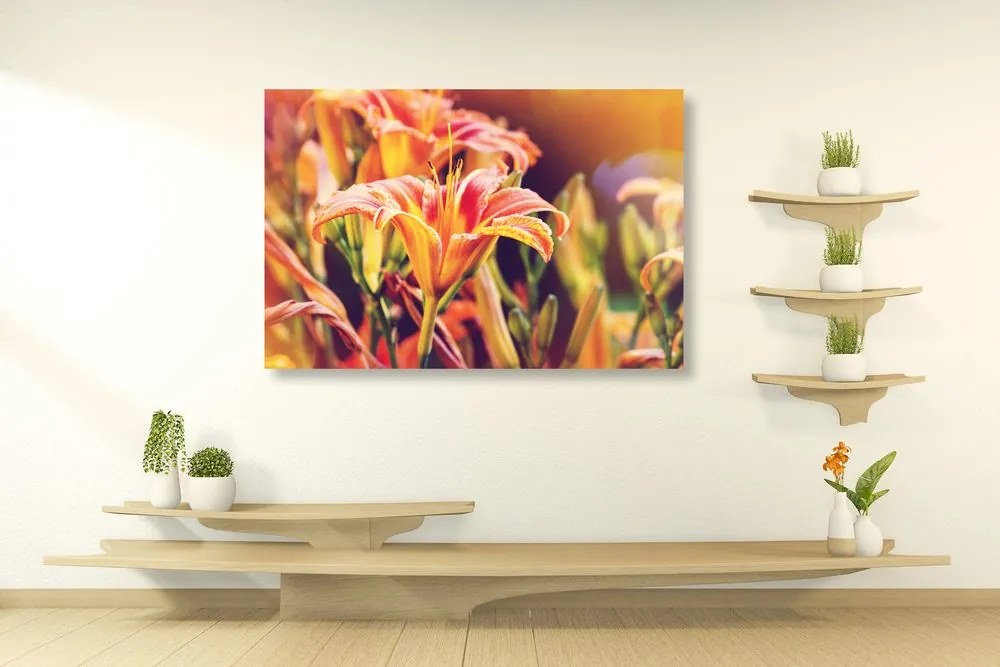 Quadro su tela – Splendidi fiori in giardino