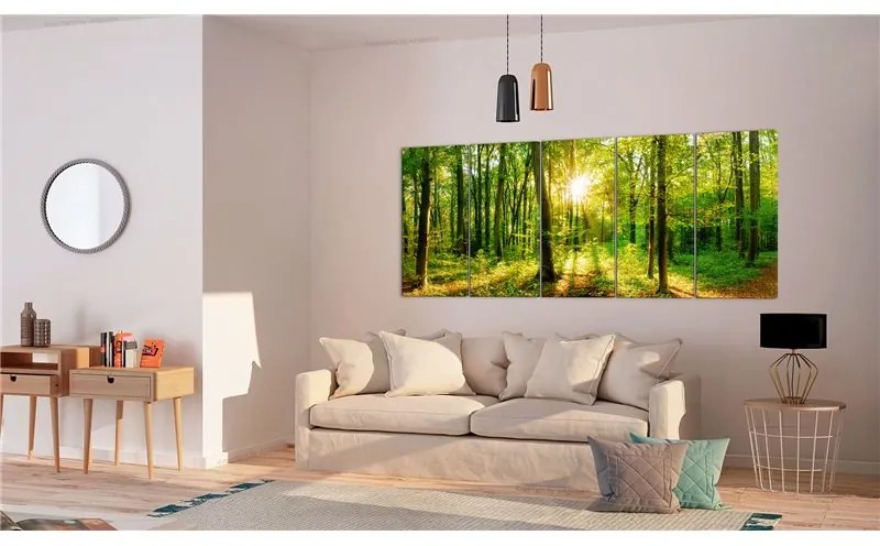 Quadro Magic Forest  Colore Marrone, Dimensioni e Misure 225x90