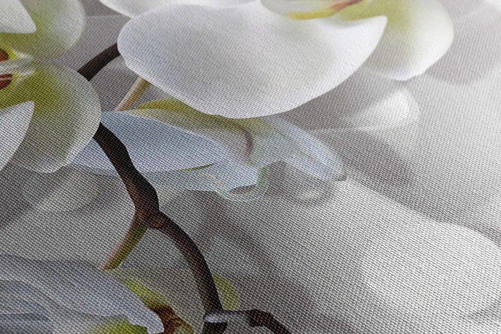 Quadro su tela – Orchidea su sfondo astratto