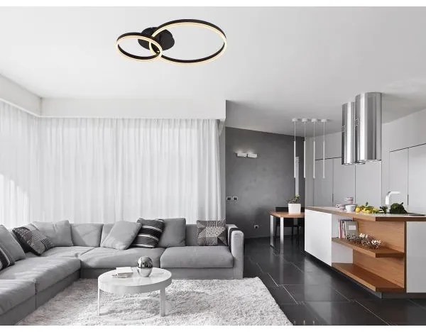 Plafoniera dimmerabile a LED/55W/230V 3000-6500K + telecomando