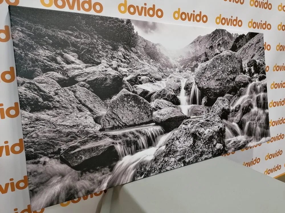 Stampa su tela – Cascate alpine in bianco e nero