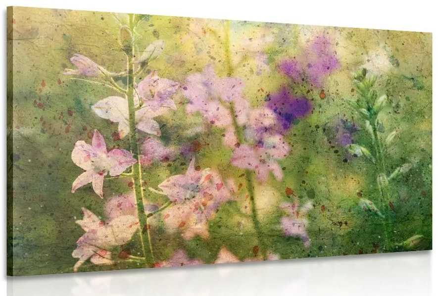 Quadro su tela – Disegno acquerellato di piante di montagna