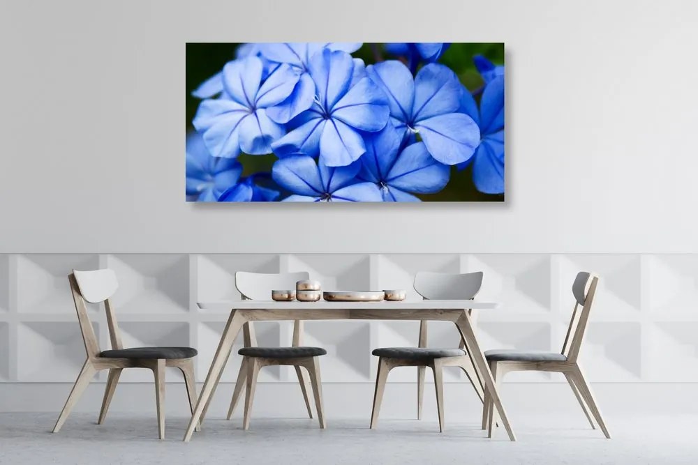Stampa su tela – Fiori blu pittoreschi