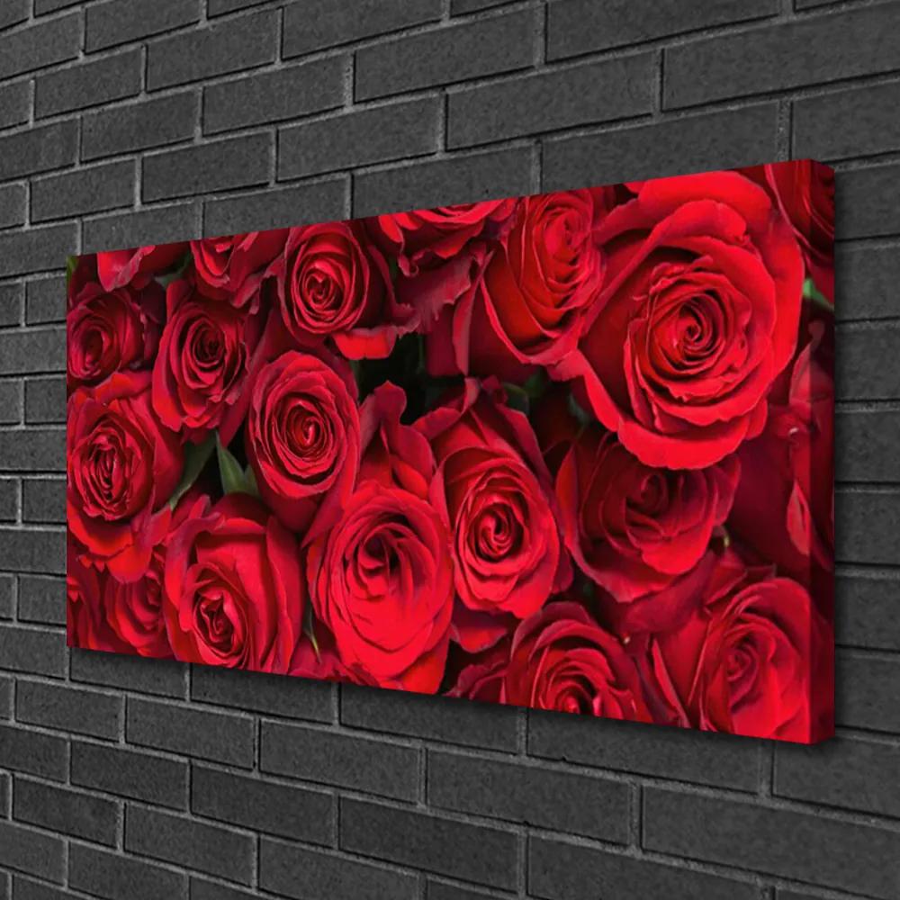 Quadro su tela Fiori della natura delle rose rosse 100x50 cm