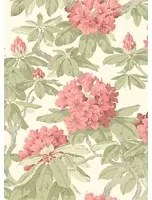 Cole & Son Carta da parati Bourlie - Coral